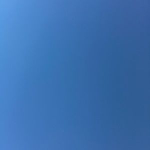 Meet your Posher, Lily